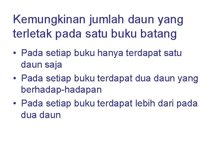 Kemungkinan jumlah daun yang terletak pada satu buku batang • Pada setiap buku hanya