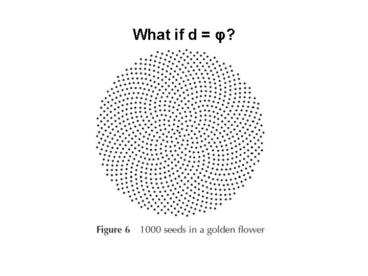 What if d = φ? 