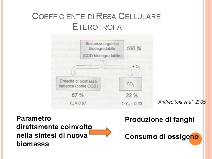 COEFFICIENTE DI RESA CELLULARE ETEROTROFA Andreottola et al. 2005 Parametro direttamente coinvolto nella sintesi