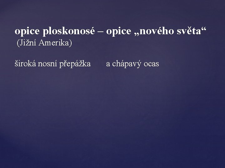 opice ploskonosé – opice „nového světa“ (Jižní Amerika) široká nosní přepážka a chápavý ocas