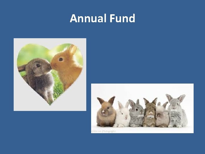 Annual Fund 