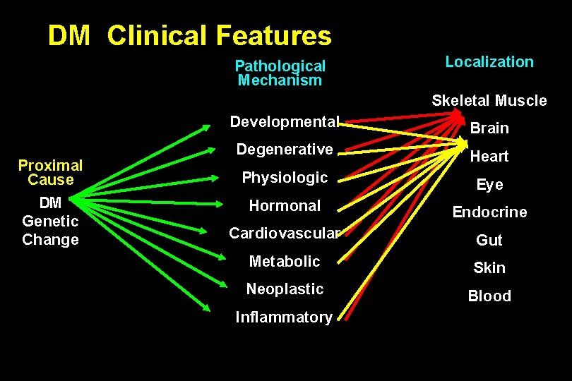 DM Clinical Features Pathological Mechanism Localization Skeletal Muscle Proximal Cause DM Genetic Change Developmental