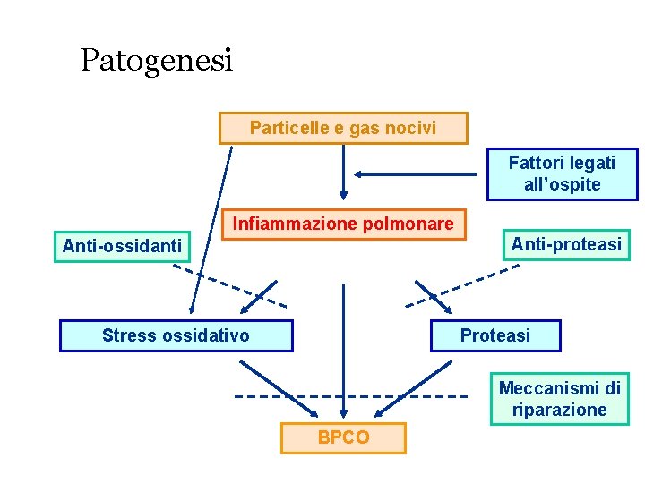 Patogenesi Particelle e gas nocivi Fattori legati all’ospite Infiammazione polmonare Anti-proteasi Anti-ossidanti Stress ossidativo