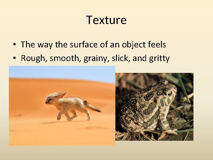 Texture • The way the surface of an object feels • Rough, smooth, grainy, Texture • The way the surface of an object feels • Rough, smooth, grainy,