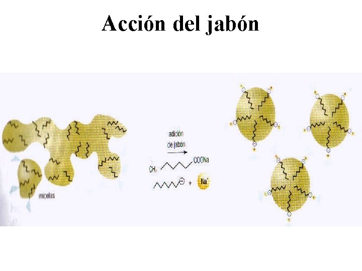 Acción del jabón 