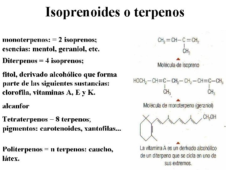 Isoprenoides o terpenos 