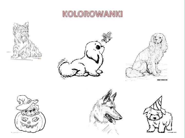 KOLOROWANKI 