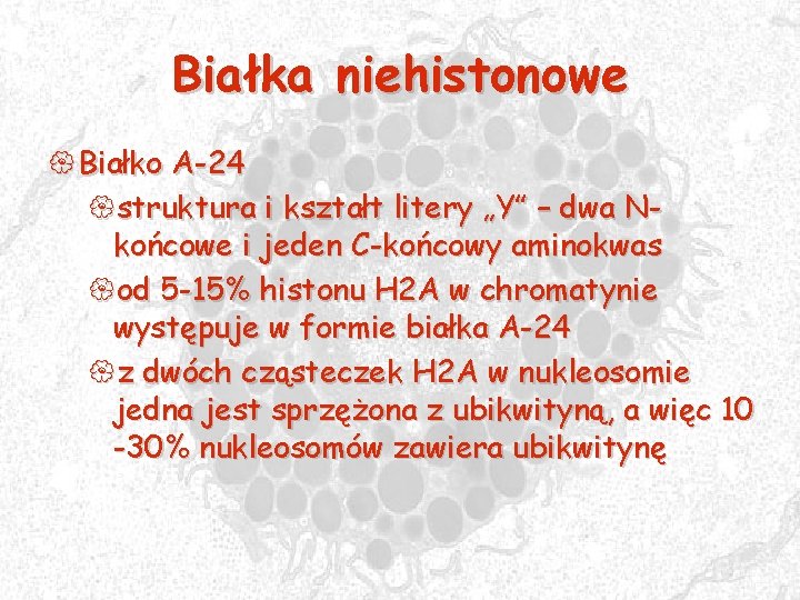 Białka niehistonowe { Białko A-24 {struktura i kształt litery „Y” – dwa Nkońcowe i