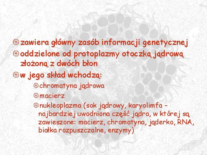 { zawiera główny zasób informacji genetycznej { oddzielone od protoplazmy otoczką jądrową złożoną z