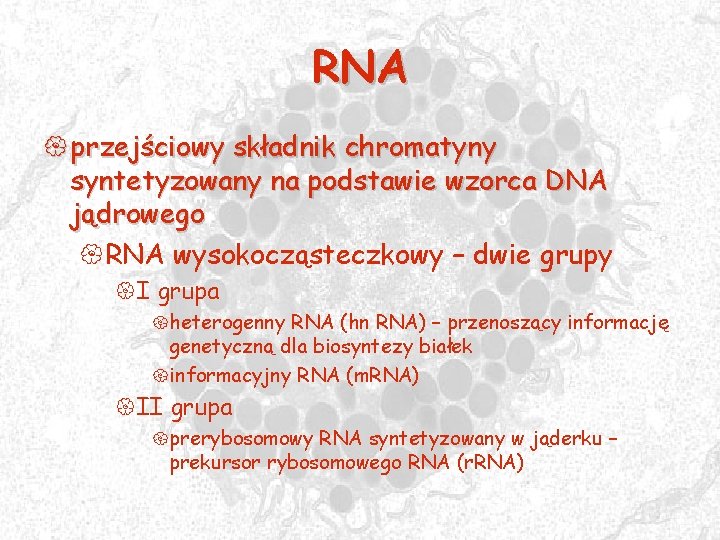 RNA { przejściowy składnik chromatyny syntetyzowany na podstawie wzorca DNA jądrowego {RNA wysokocząsteczkowy –
