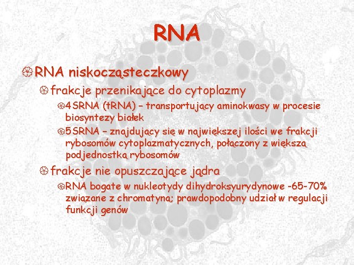 RNA { RNA niskocząsteczkowy {frakcje przenikające do cytoplazmy {4 SRNA (t. RNA) – transportujący