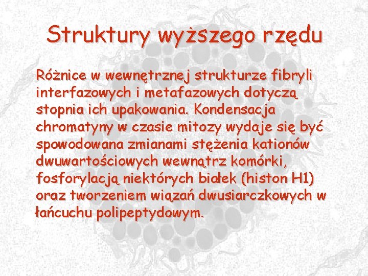 Struktury wyższego rzędu Różnice w wewnętrznej strukturze fibryli interfazowych i metafazowych dotyczą stopnia ich