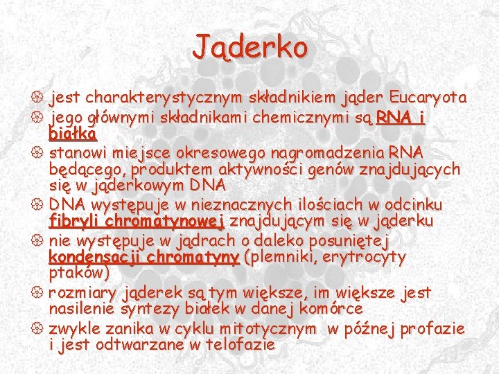 Jąderko { jest charakterystycznym składnikiem jąder Eucaryota { jego głównymi składnikami chemicznymi są RNA