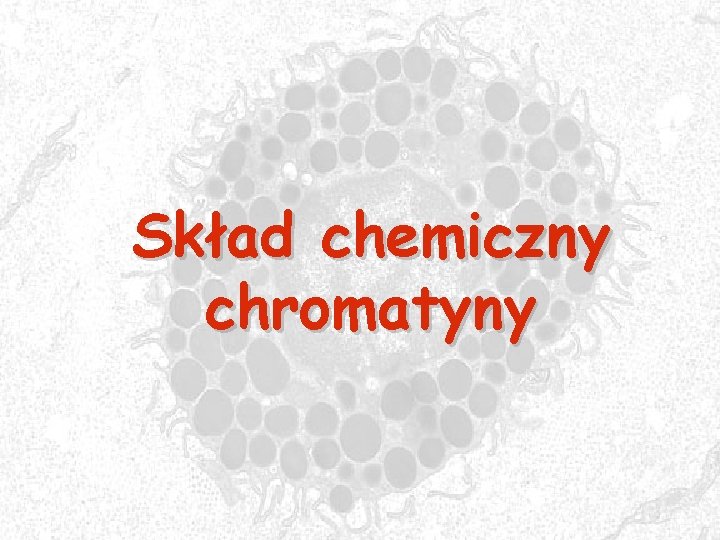 Skład chemiczny chromatyny 