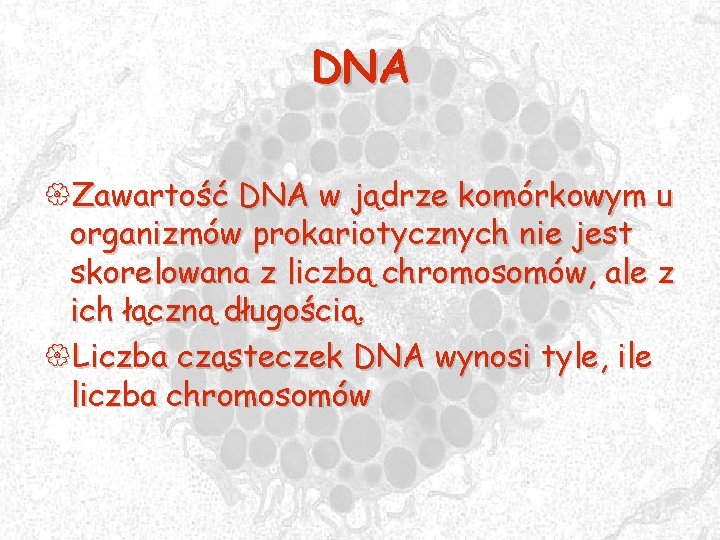 DNA {Zawartość DNA w jądrze komórkowym u organizmów prokariotycznych nie jest skorelowana z liczbą