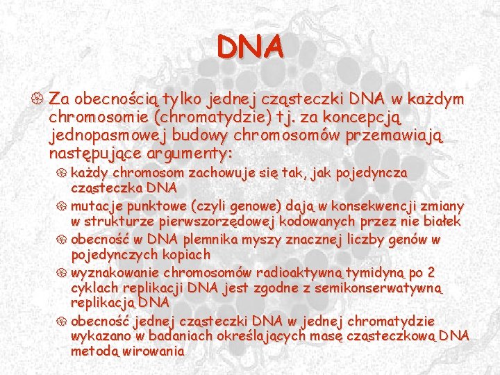 DNA { Za obecnością tylko jednej cząsteczki DNA w każdym chromosomie (chromatydzie) tj. za