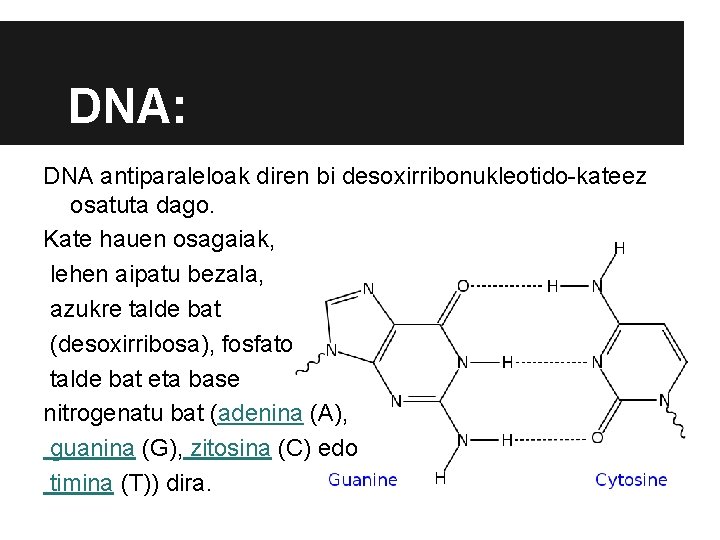 DNA: DNA antiparaleloak diren bi desoxirribonukleotido-kateez osatuta dago. Kate hauen osagaiak, lehen aipatu bezala, DNA: DNA antiparaleloak diren bi desoxirribonukleotido-kateez osatuta dago. Kate hauen osagaiak, lehen aipatu bezala,