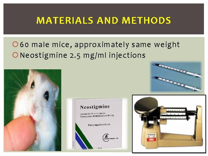 MATERIALS AND METHODS 60 male mice, approximately same weight Neostigmine 2. 5 mg/ml injections