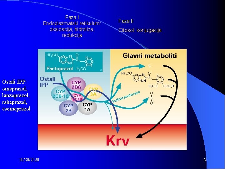 Faza I Endoplazmatski retikulum: oksidacija, hidroliza, redukcija Faza II Citosol: konjugacija Ostali IPP: omeprazol,