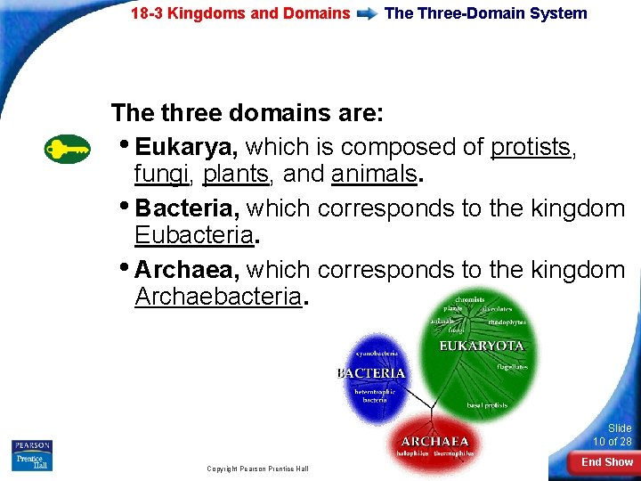 18 -3 Kingdoms and Domains The Three-Domain System The three domains are: • Eukarya,