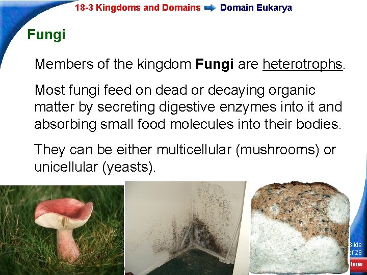 18 -3 Kingdoms and Domains Domain Eukarya Fungi Members of the kingdom Fungi are