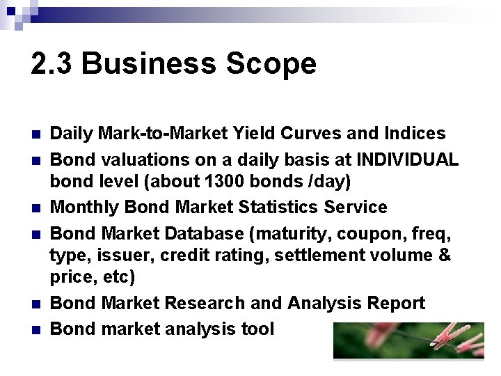 2. 3 Business Scope n n n Daily Mark-to-Market Yield Curves and Indices Bond