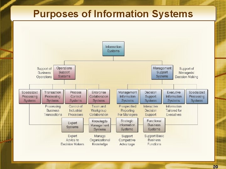 Purposes of Information Systems 20 