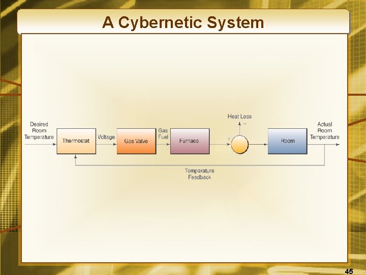 A Cybernetic System 45 