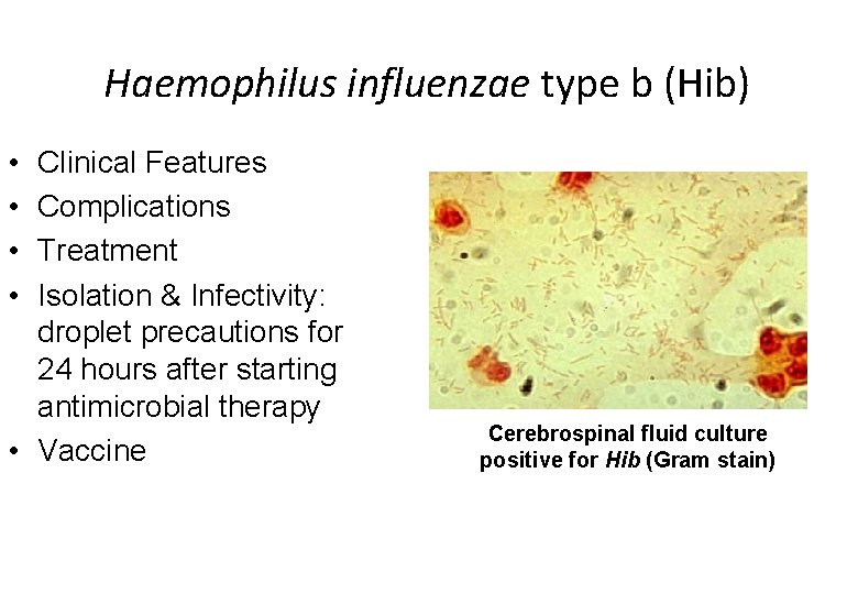 Haemophilus influenzae type b (Hib) • • Clinical Features Complications Treatment Isolation & Infectivity: