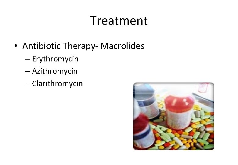 Treatment • Antibiotic Therapy- Macrolides – Erythromycin – Azithromycin – Clarithromycin 