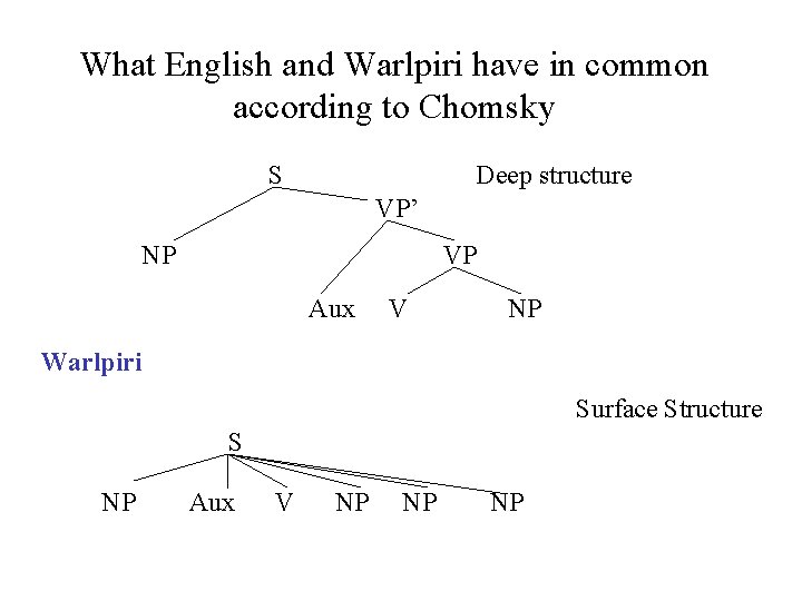 What English and Warlpiri have in common according to Chomsky S Deep structure VP’