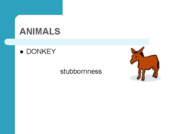ANIMALS l DONKEY stubbornness 