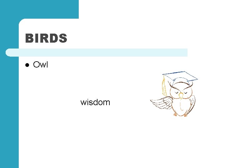 BIRDS l Owl wisdom 