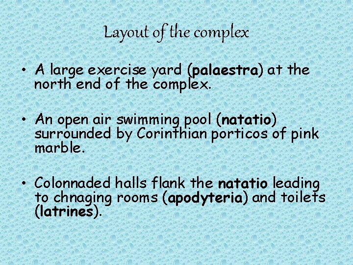 Layout of the complex • A large exercise yard (palaestra) at the north end