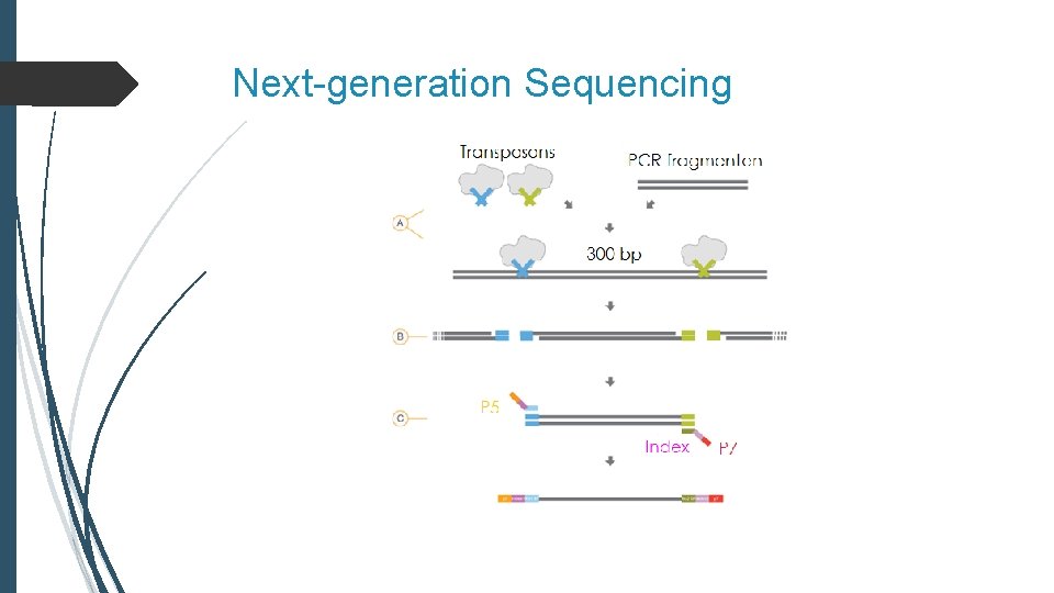 Next-generation Sequencing 