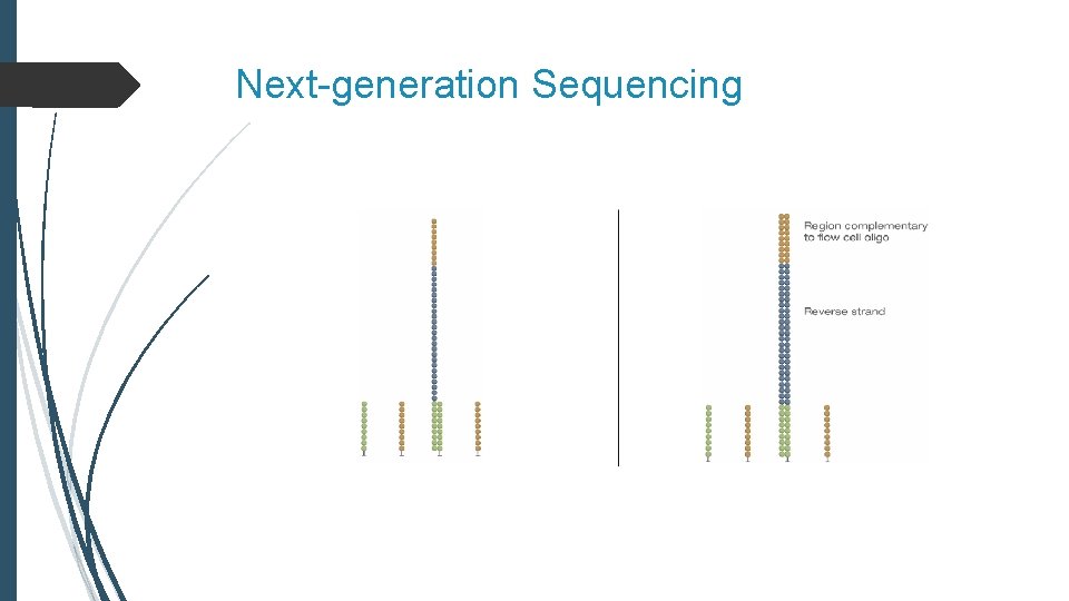 Next-generation Sequencing 