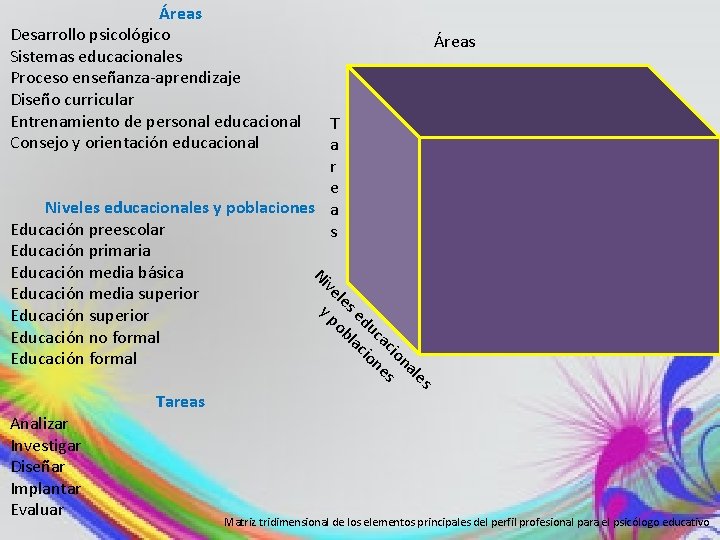 Áreas Desarrollo psicológico Sistemas educacionales Proceso enseñanza-aprendizaje Diseño curricular Entrenamiento de personal educacional Consejo