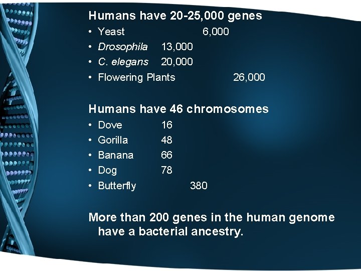 Humans have 20 -25, 000 genes • • Yeast 6, 000 Drosophila 13, 000