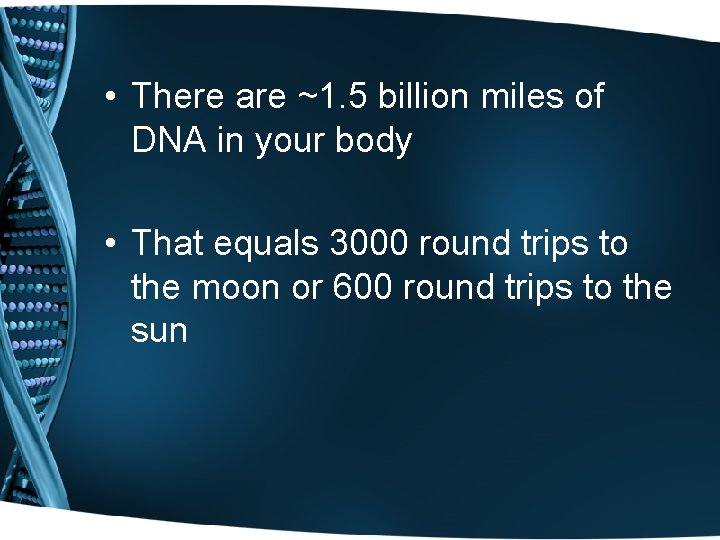  • There are ~1. 5 billion miles of DNA in your body •