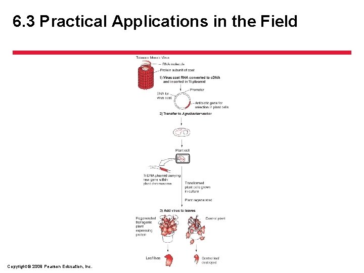 6. 3 Practical Applications in the Field Copyright © 2009 Pearson Education, Inc. 