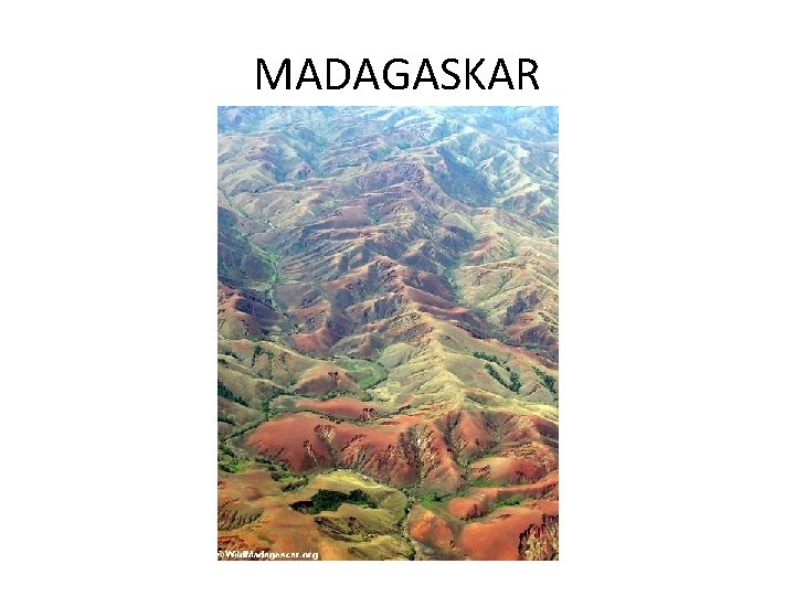 MADAGASKAR 