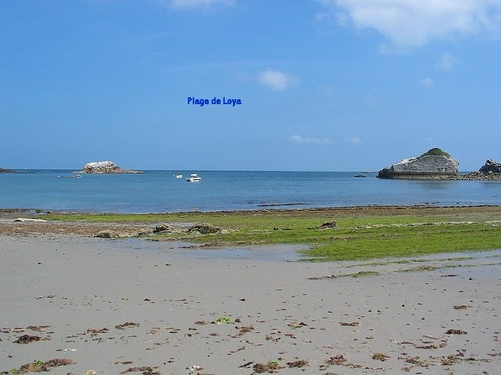 Plage de Loya 