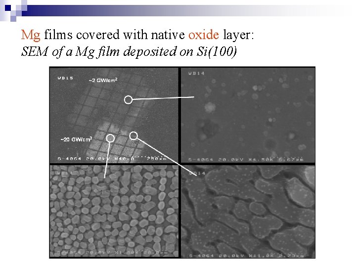 Mg films covered with native oxide layer: SEM of a Mg film deposited on