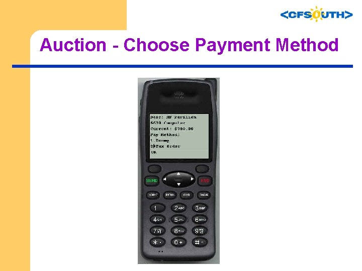 Auction - Choose Payment Method 