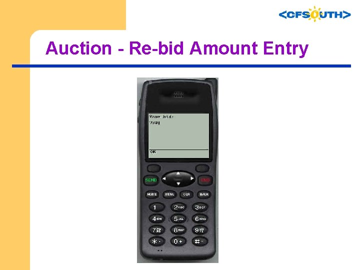 Auction - Re-bid Amount Entry 