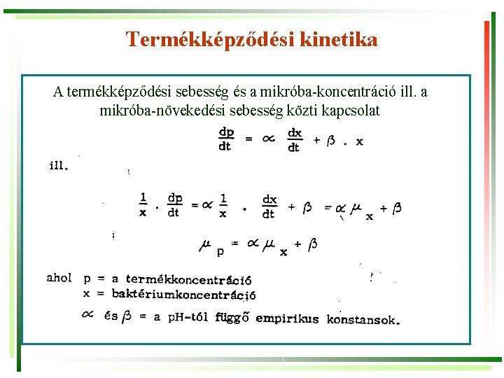 Termékképződési kinetika A termékképződési sebesség és a mikróba-koncentráció ill. a mikróba-növekedési sebesség közti kapcsolat