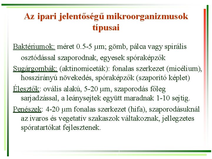 Az ipari jelentőségű mikroorganizmusok típusai Baktériumok: méret 0. 5 -5 µm; gömb, pálca vagy