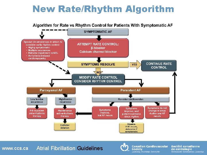 New Rate/Rhythm Algorithm www. ccs. ca Atrial Fibrillation Guidelines 