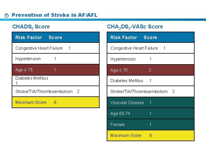 Prevention of Stroke in AF/AFL CHADS 2 Score Risk Factor CHA 2 DS 2