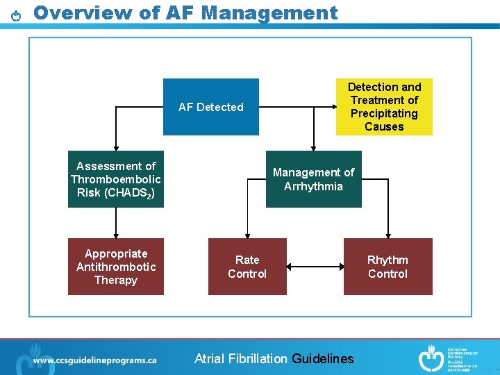 Overview of AF Management AF Detected Assessment of Thromboembolic Risk (CHADS 2) Appropriate Antithrombotic